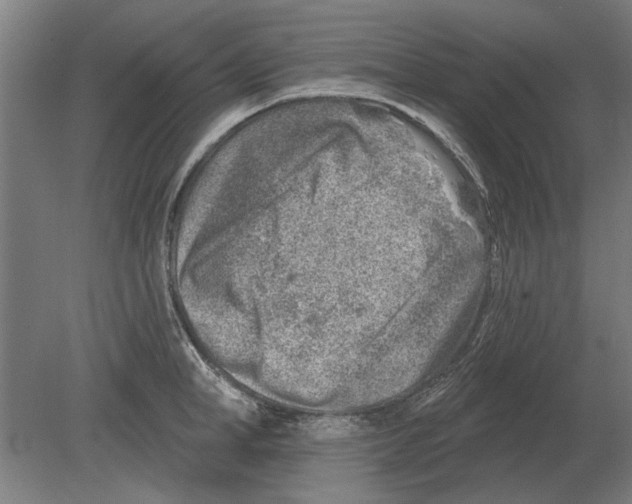 X0000080200998200701051744