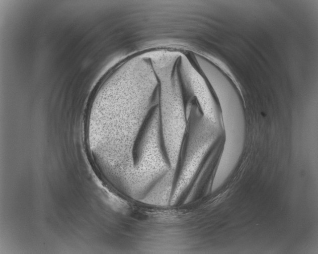 X0000080200999200701051744