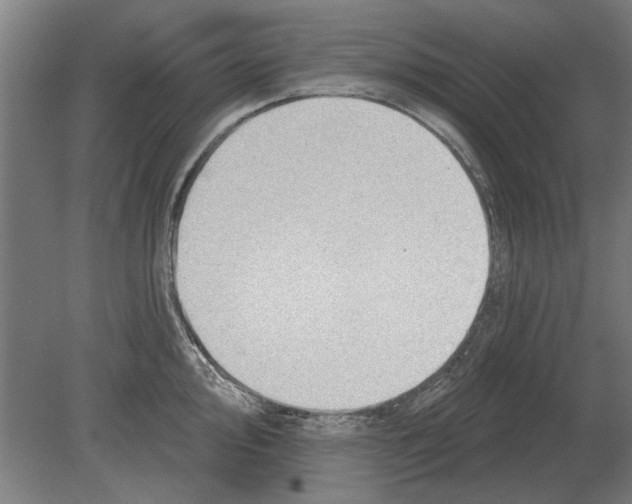 X0000080201000200701051744