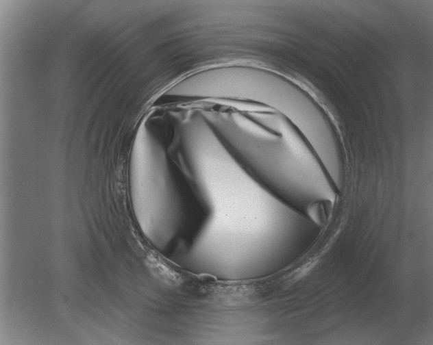 X0000080201001200701051744