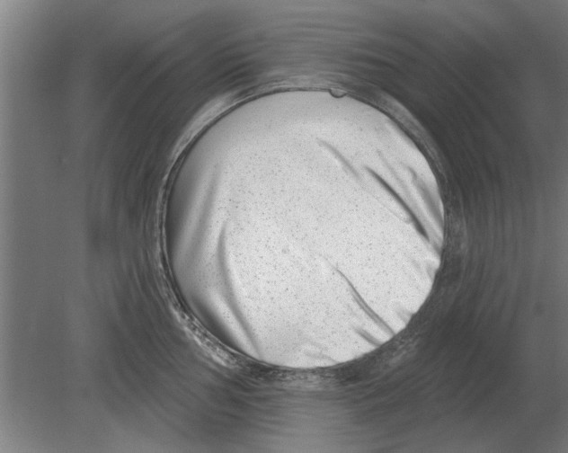 X0000080201002200701051744