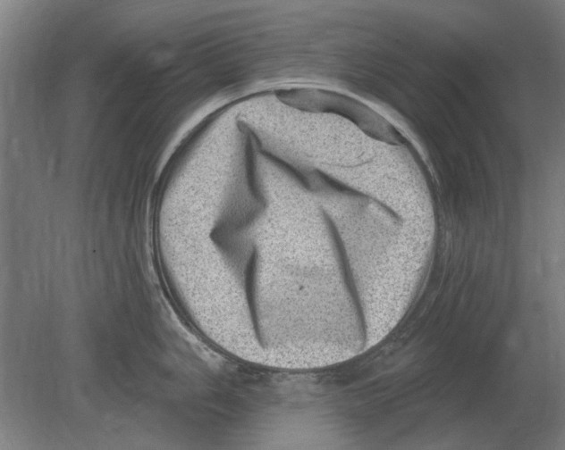 X0000080201006200701051744