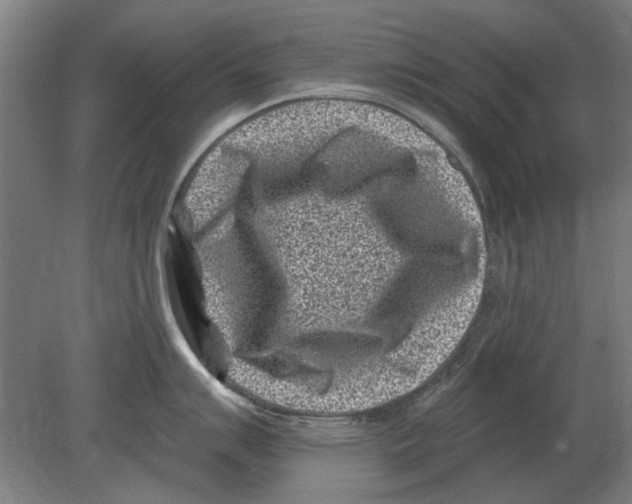 X0000080201007200701051744