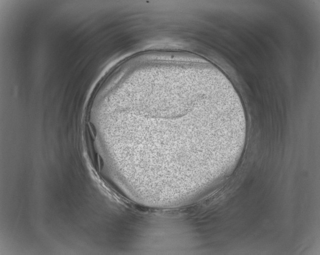 X0000080201008200701051744