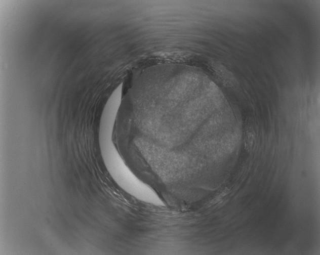 X0000080201010200701051743