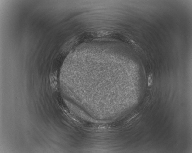 X0000080201011200701051743