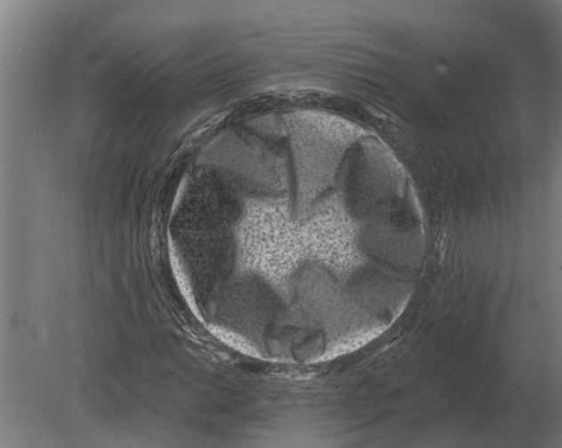 X0000080201014200701051743