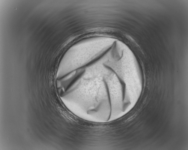 X0000080201017200701051743