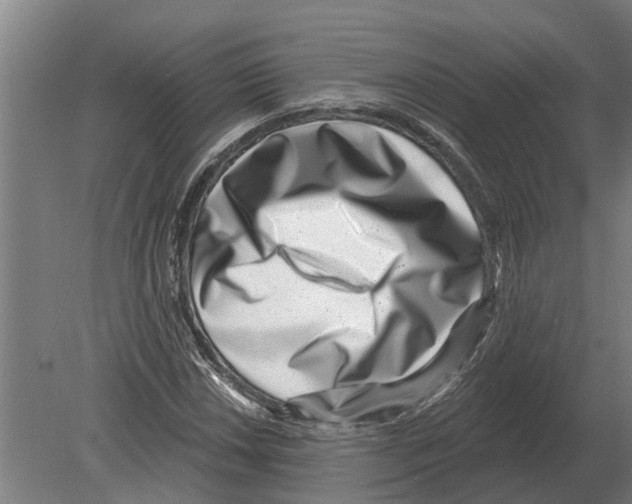 X0000080201018200701051743