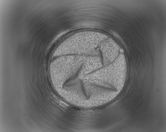 X0000080201019200701051743