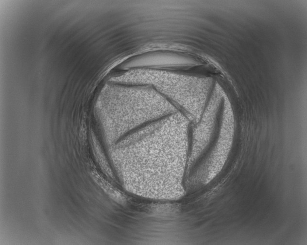 X0000080201025200701051743