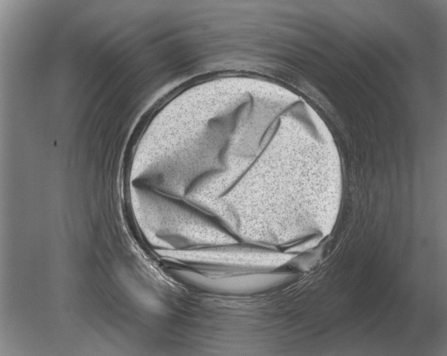 X0000080201028200701051743