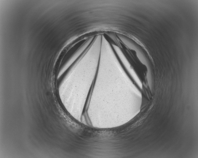 X0000080201029200701051743