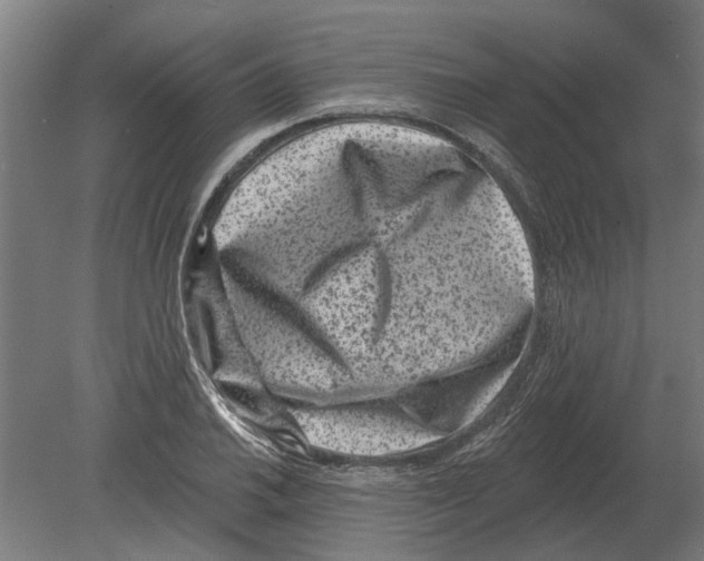 X0000080201030200701051743