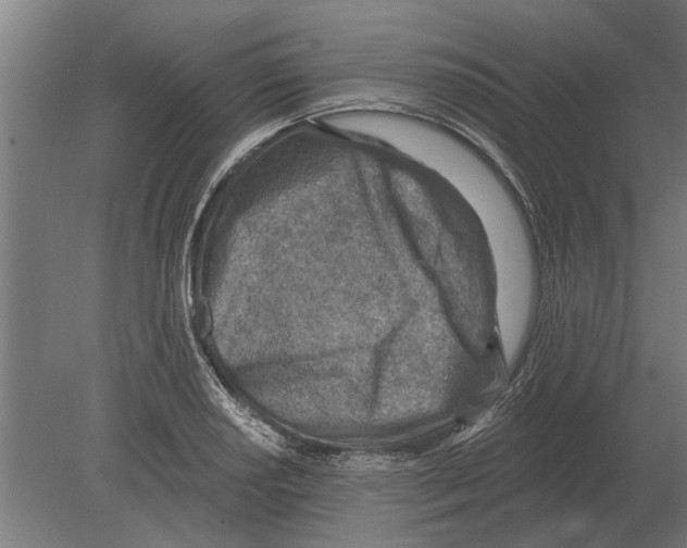 X0000080201034200701051743