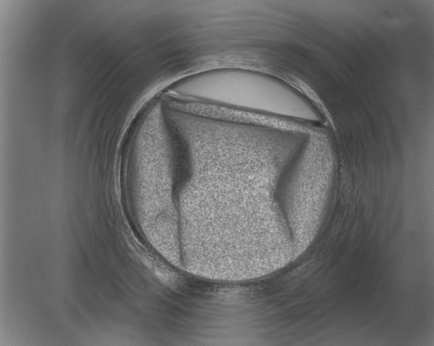 X0000080201035200701051743