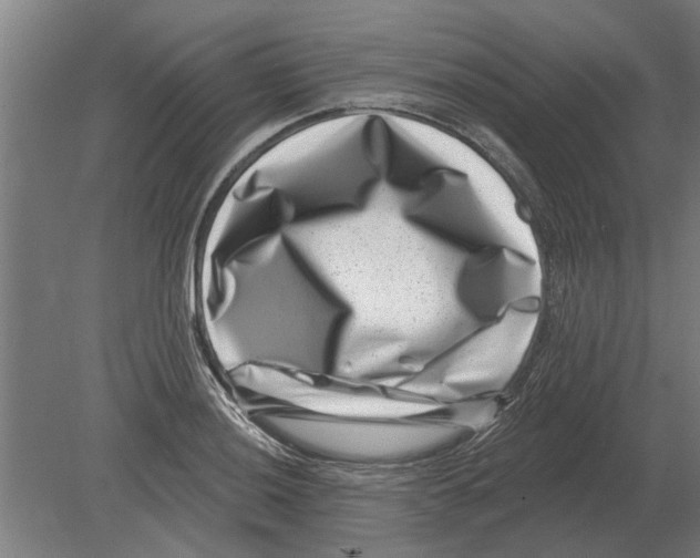 X0000080201036200701051743