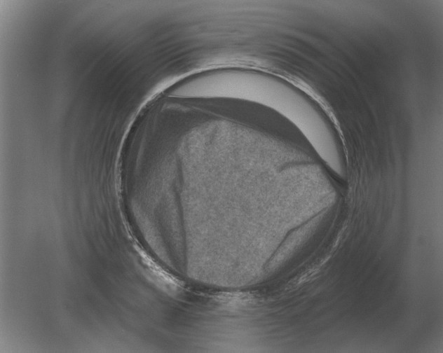 X0000080201037200701051743