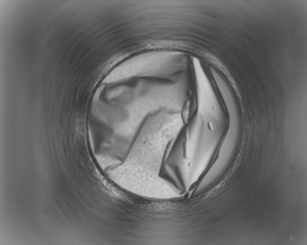 X0000080201041200701051743