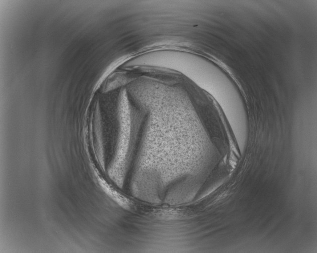 X0000080201042200701051743