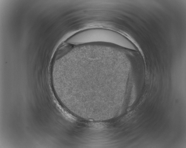 X0000080201045200701051744