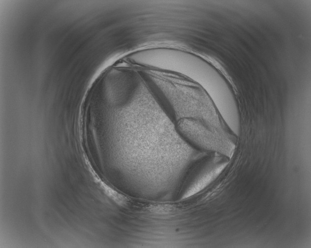 X0000080201046200701051744