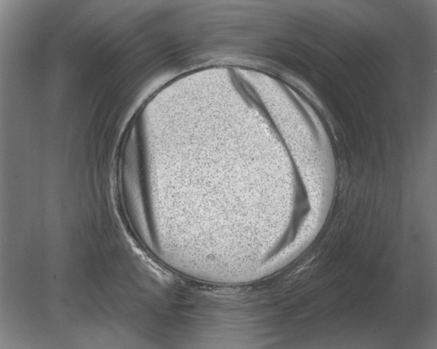 X0000080201048200701051744