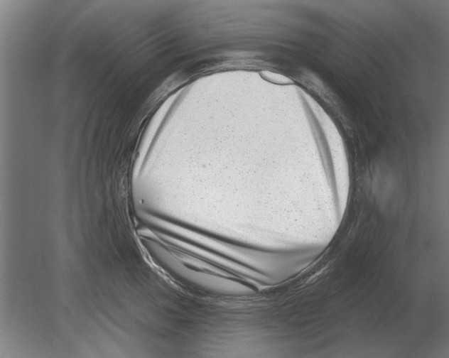 X0000080201049200701051744