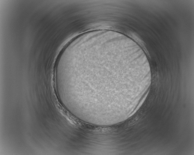 X0000080201051200701051744