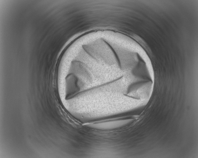 X0000080201052200701051744