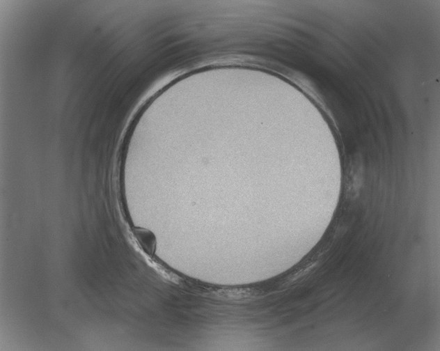 X0000080201053200701051744