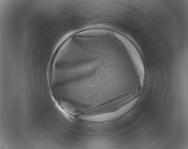 X0000080201054200701051744