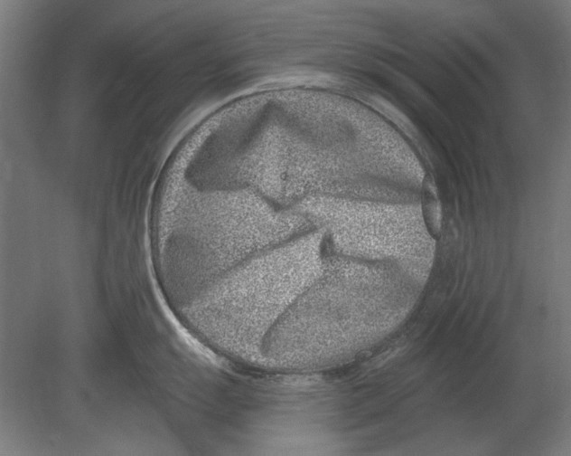 X0000080201055200701051744