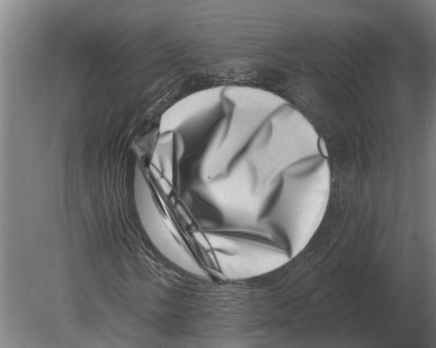 X0000080201058200701051743