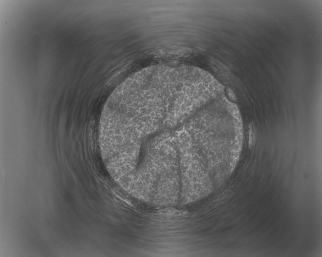 X0000080201059200701051743