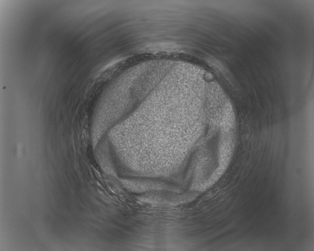 X0000080201063200701051743