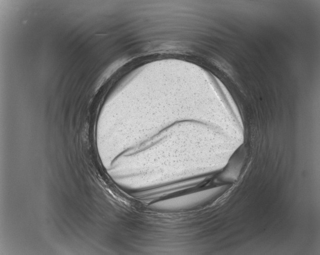 X0000080201066200701051743