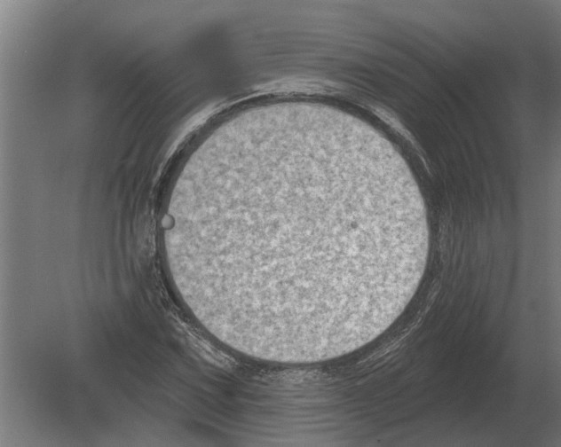 X0000080201067200701051743