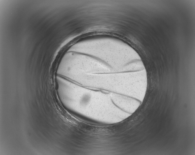 X0000080201070200701051743