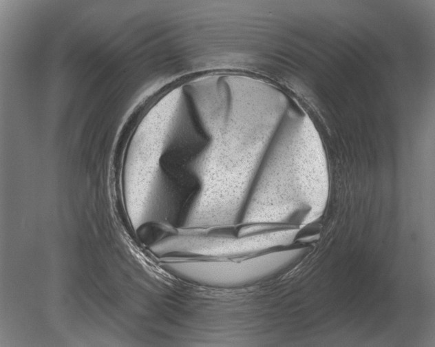 X0000080201072200701051743