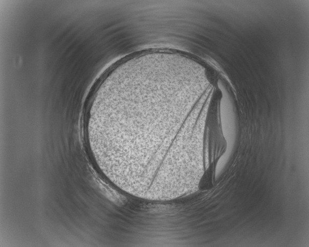 X0000080201076200701051743