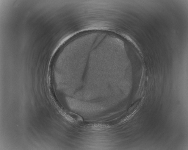 X0000080201077200701051743