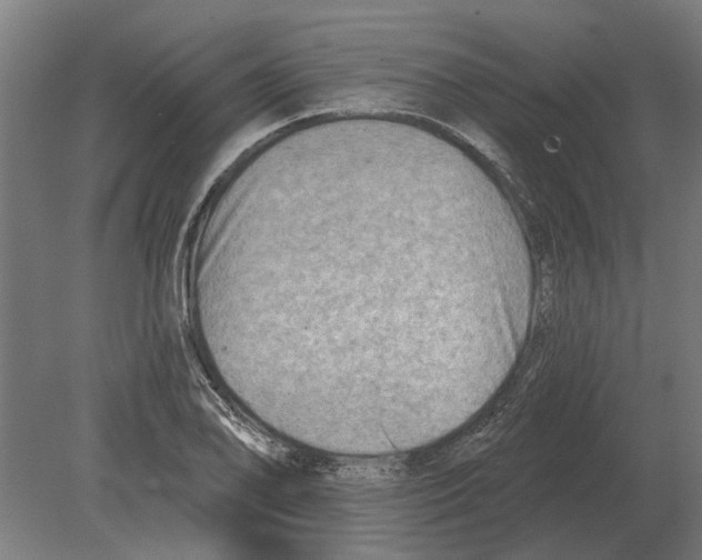 X0000080201078200701051743