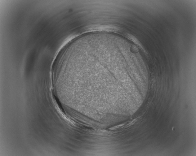 X0000080201079200701051743