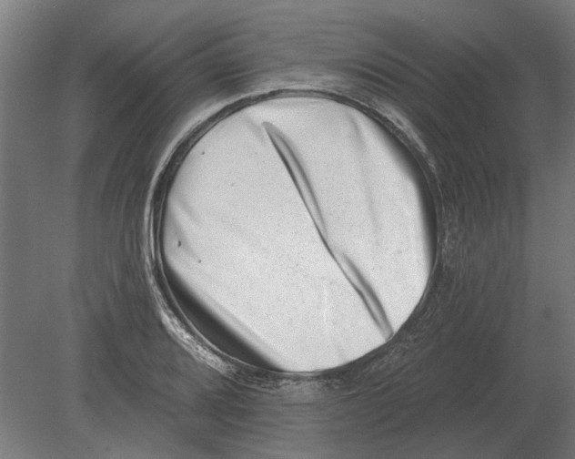 X0000080201080200701051743