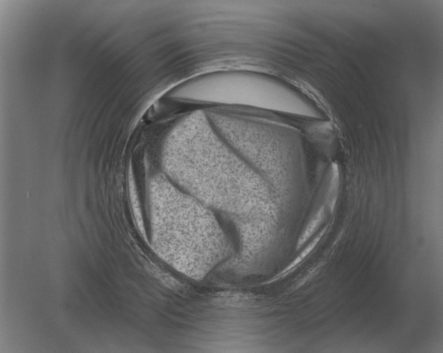 X0000080201081200701051743