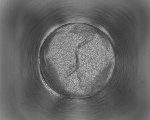 X0000080201088200701051742