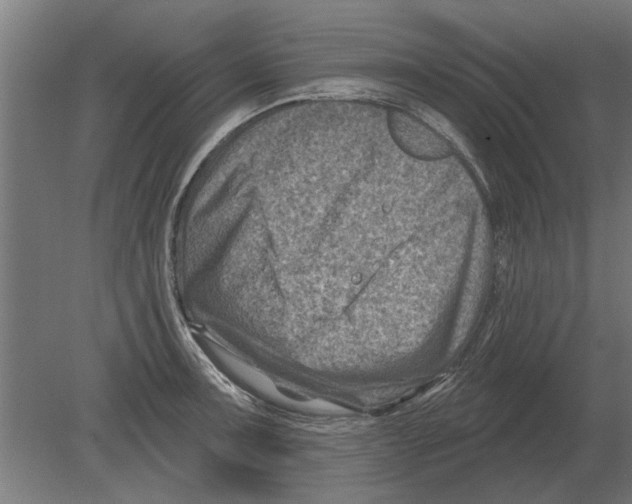 X0000080201091200701051742