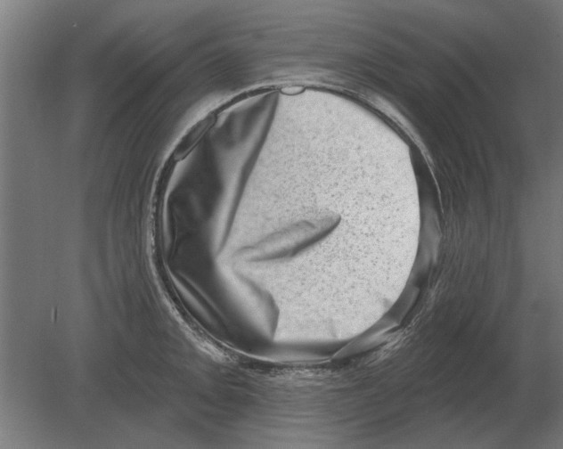 X0000080201093200701051742