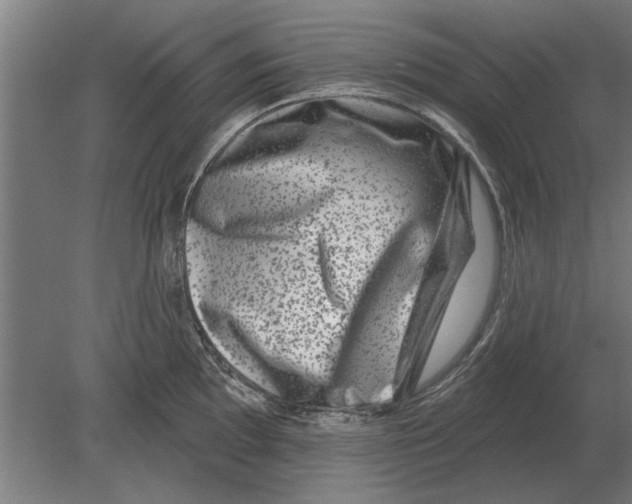 X0000080201097200701051742